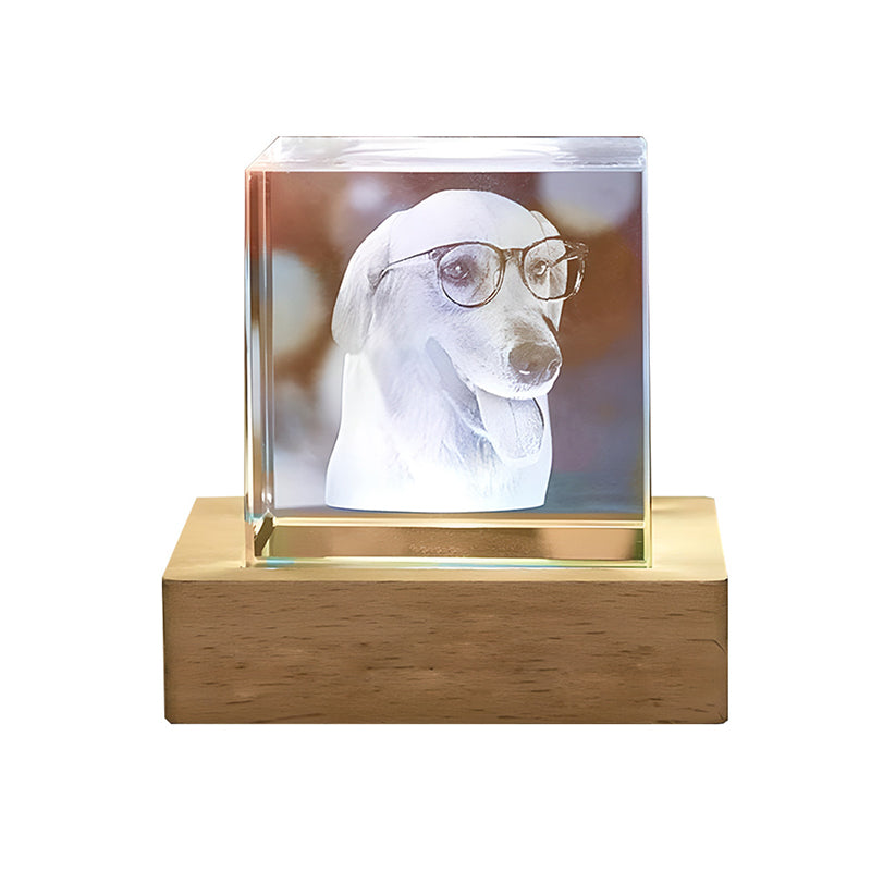 Pet Crystal Inside Carving Creative Gift | Photo Custom | Decorative Lamp | Birthday Gift | Living Room | Bedroom