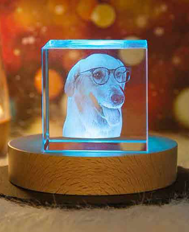 Pet Crystal Inside Carving Creative Gift | Photo Custom | Decorative Lamp | Birthday Gift | Living Room | Bedroom