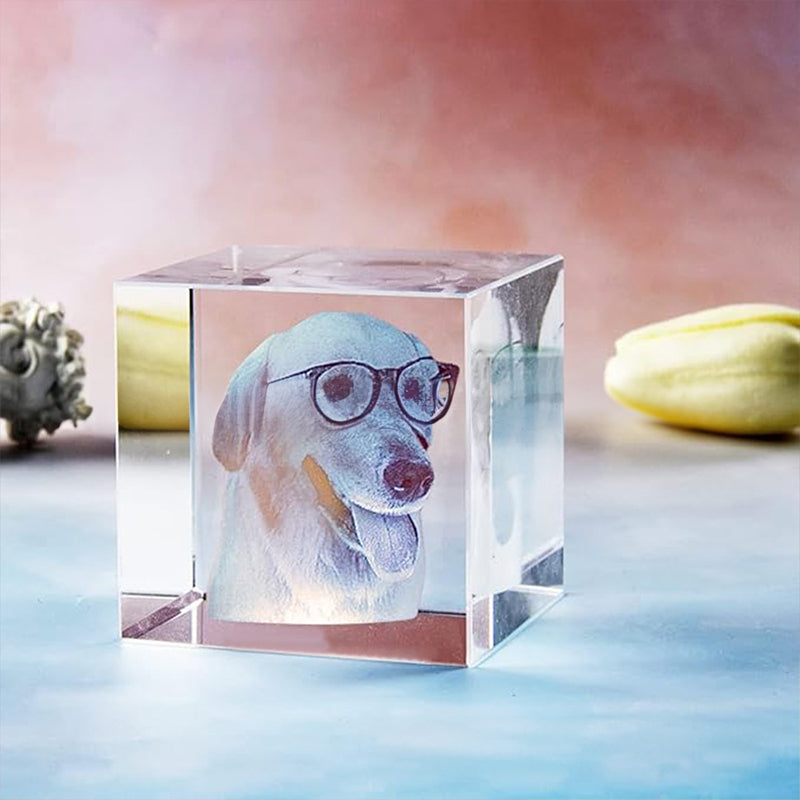 Pet Crystal Inside Carving Creative Gift | Photo Custom | Decorative Lamp | Birthday Gift | Living Room | Bedroom