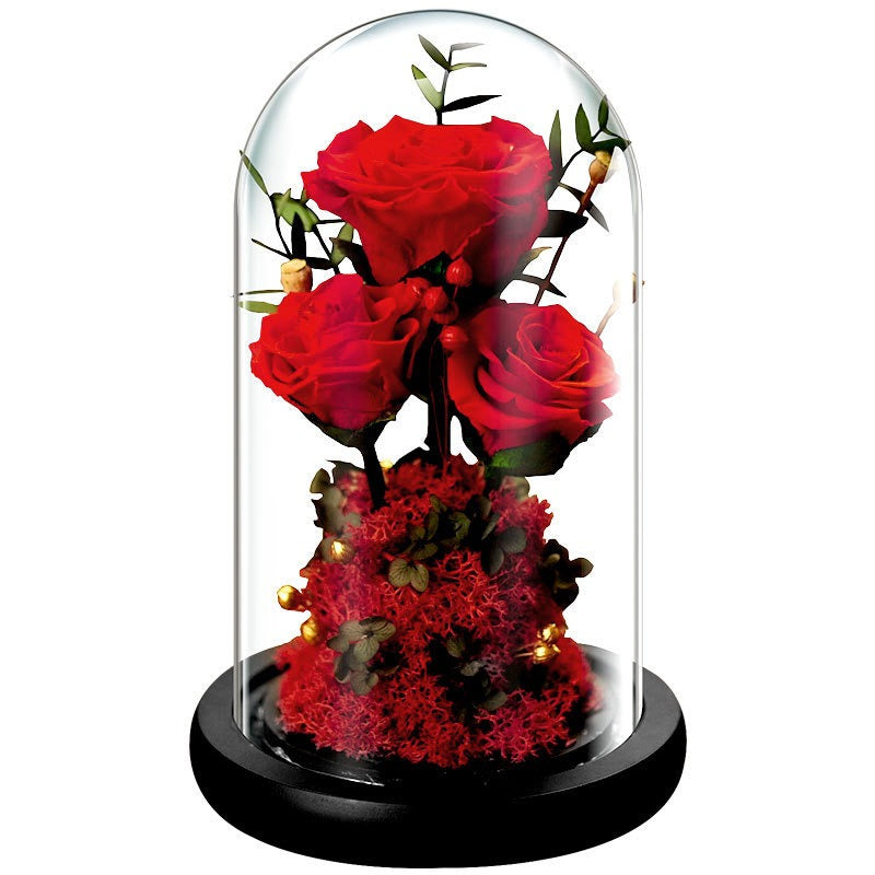 Luxury Gift | Immortal Flowers Dried Roses | Glass Cover Best Gift Box | Creative Ornaments | Valentine's Day Gift | Birthday Gift