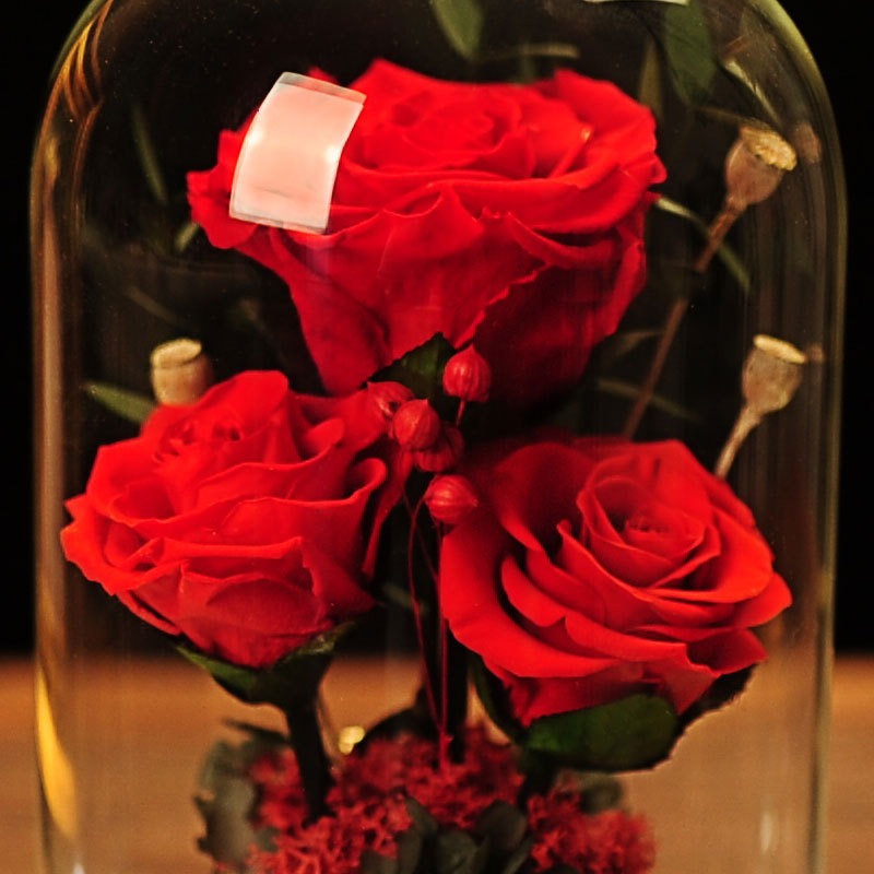 Luxury Gift | Immortal Flowers Dried Roses | Glass Cover Best Gift Box | Creative Ornaments | Valentine's Day Gift | Birthday Gift