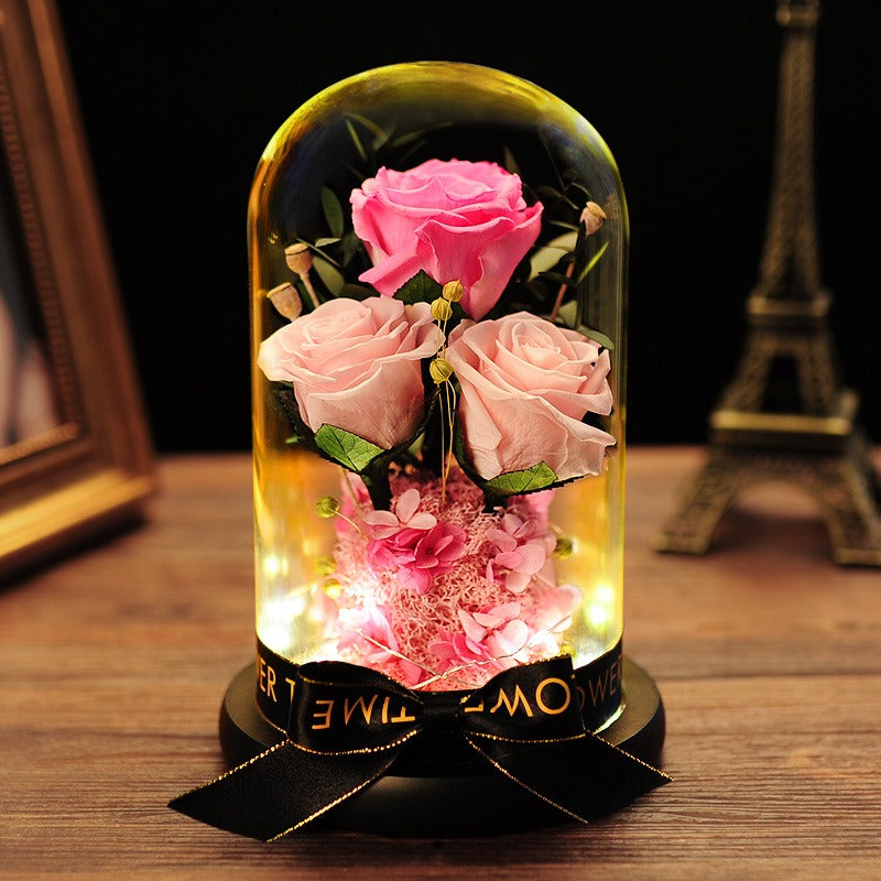 Luxury Gift | Immortal Flowers Dried Roses | Glass Cover Best Gift Box | Creative Ornaments | Valentine's Day Gift | Birthday Gift